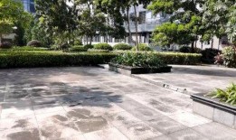 上沙塘晏村爆料案件最新,案件细节披露，真相渐浮水面