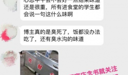 石家庄假食爆料视频最新,揭露后厨黑幕，食品安全再引关注
