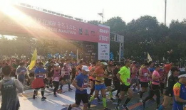 井陉马拉松爆料最新消息,赛事精彩瞬间与亮点速览