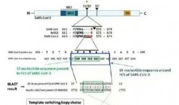 英国爆料病毒事件最新,揭秘疫情背后的真相与争议