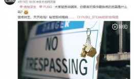 小说家最新挂件爆料,探寻创作背后的神秘力量