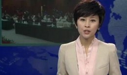 李萱最新爆料新闻联播在线观看,揭秘新闻联播幕后故事，在线观看精彩瞬间