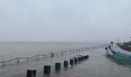 安澜的最新爆料,揭秘娱乐圈幕后真相