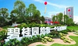 玉林碧桂园爆料最新消息,揭秘项目进展与未来规划