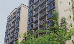 新城最新爆料消息新闻,最新热点新闻深度解析