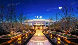 太原红星天铂最新爆料