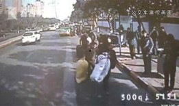 乐清网友爆料事件视频最新,真相与争议交织，网友热议不断