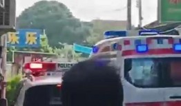 梅华车祸最新爆料消息,事故真相再掀波澜，疑点重重引关注