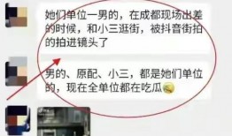 杭州小三最新爆料事件,豪门恩怨再掀波澜