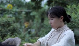 李子柒最新消息爆料,揭秘田园生活背后的故事